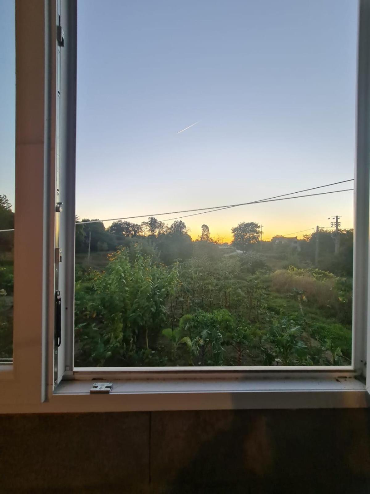 Apartamento T2 Zona Rural Vila Nova de Paiva Dış mekan fotoğraf