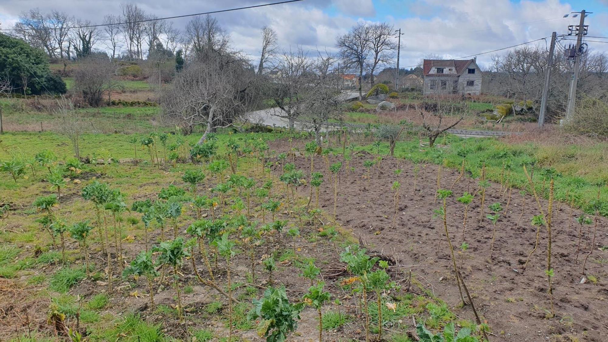Apartamento T2 Zona Rural Vila Nova de Paiva Dış mekan fotoğraf