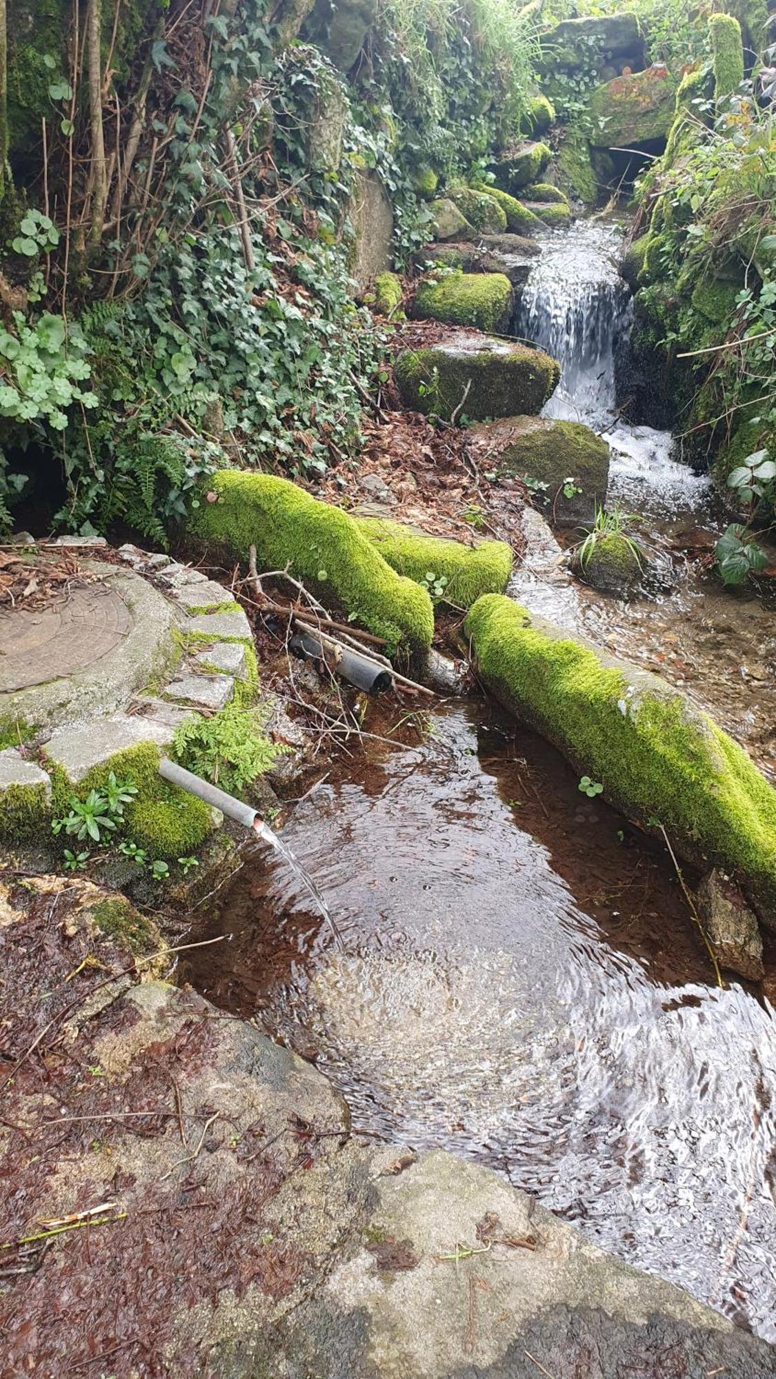 Apartamento T2 Zona Rural Vila Nova de Paiva Dış mekan fotoğraf